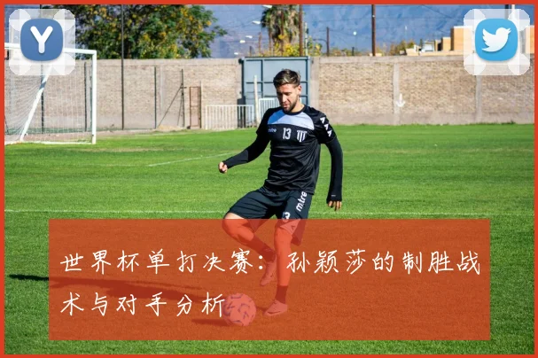 世界杯单打决赛：孙颖莎的制胜战术与对手分析
