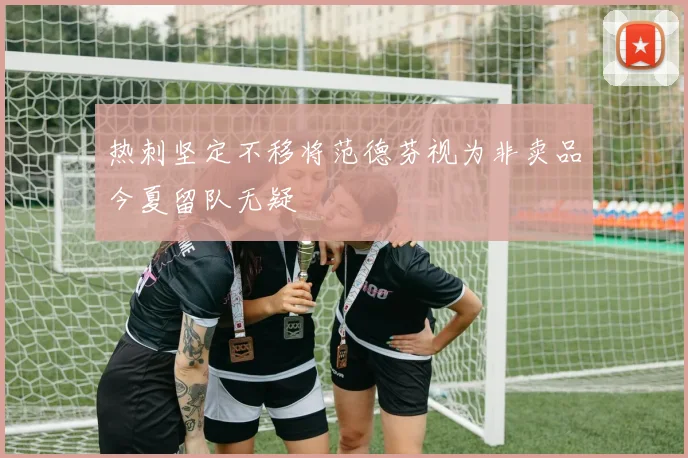 热刺坚定不移将范德芬视为非卖品今夏留队无疑