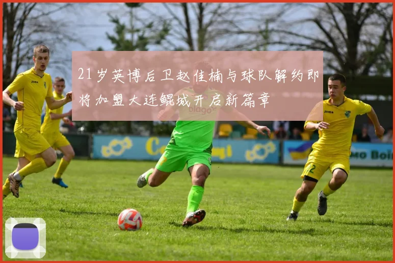 21岁英博后卫赵佳楠与球队解约即将加盟大连鲲城开启新篇章