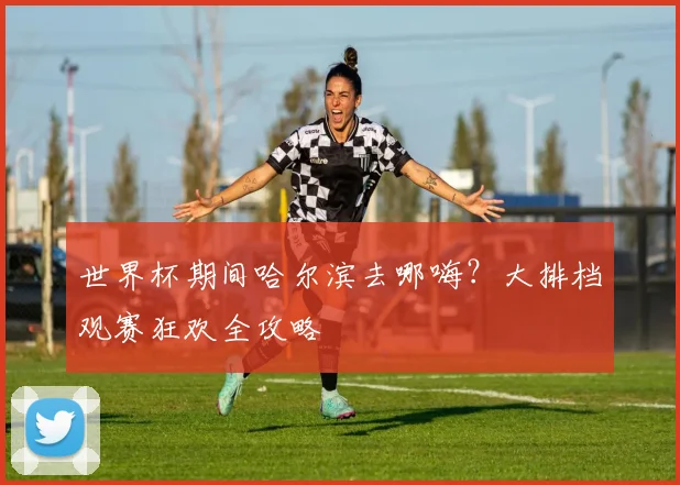 世界杯期间哈尔滨去哪嗨？大排档观赛狂欢全攻略