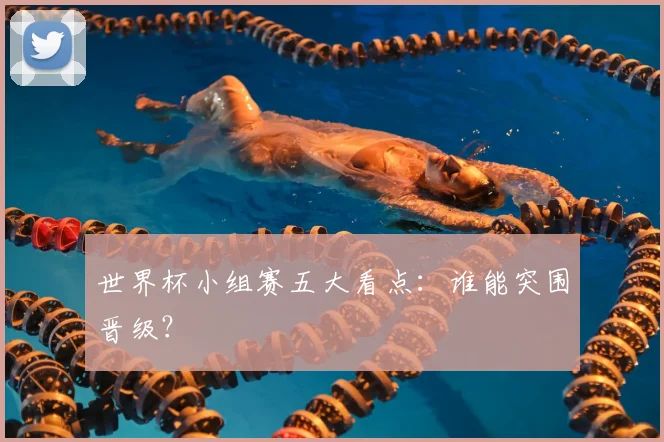 世界杯小组赛五大看点:谁能突围晋级?