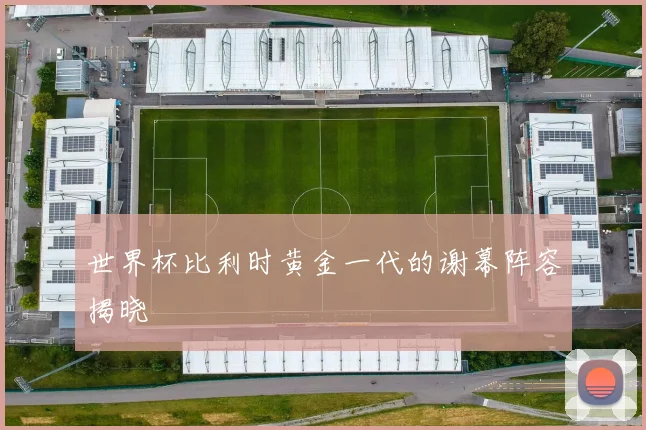世界杯比利时黄金一代的谢幕阵容揭晓