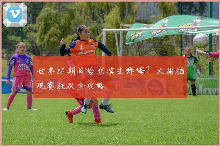 世界杯期间哈尔滨去哪嗨?大排档观赛狂欢全攻略