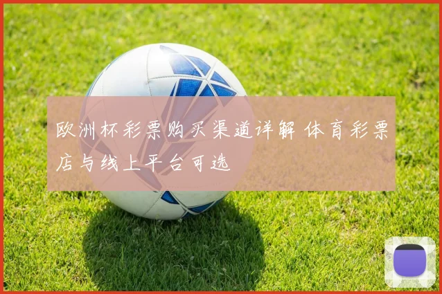 欧洲杯彩票购买渠道详解 体育彩票店与线上平台可选