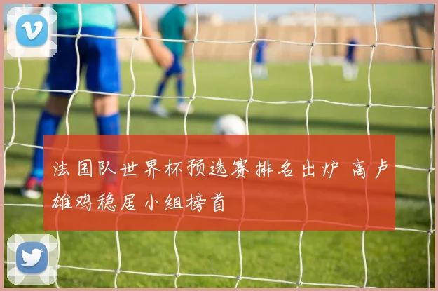 法国队世界杯预选赛排名出炉 高卢雄鸡稳居小组榜首