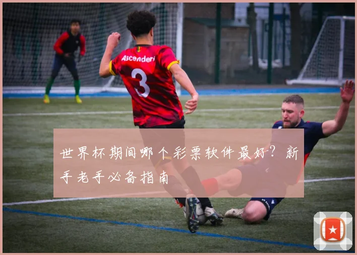 世界杯期间哪个彩票软件最好?新手老手必备指南