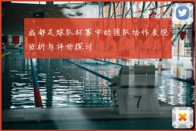 成都足球队杯赛中的团队协作表现分析与评价探讨